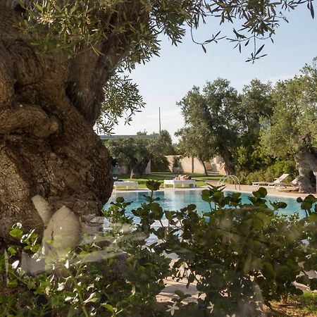 Masseria Torre Del Diamante トッレ・カンネ エクステリア 写真