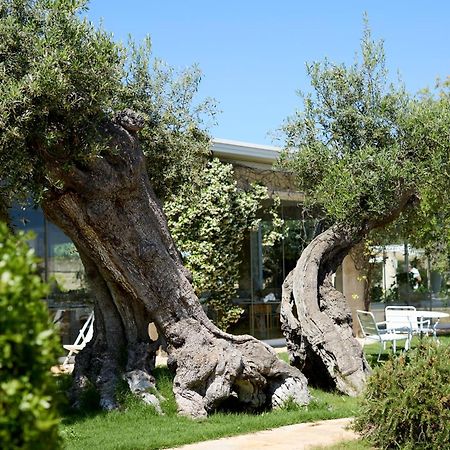 Masseria Torre Del Diamante トッレ・カンネ エクステリア 写真