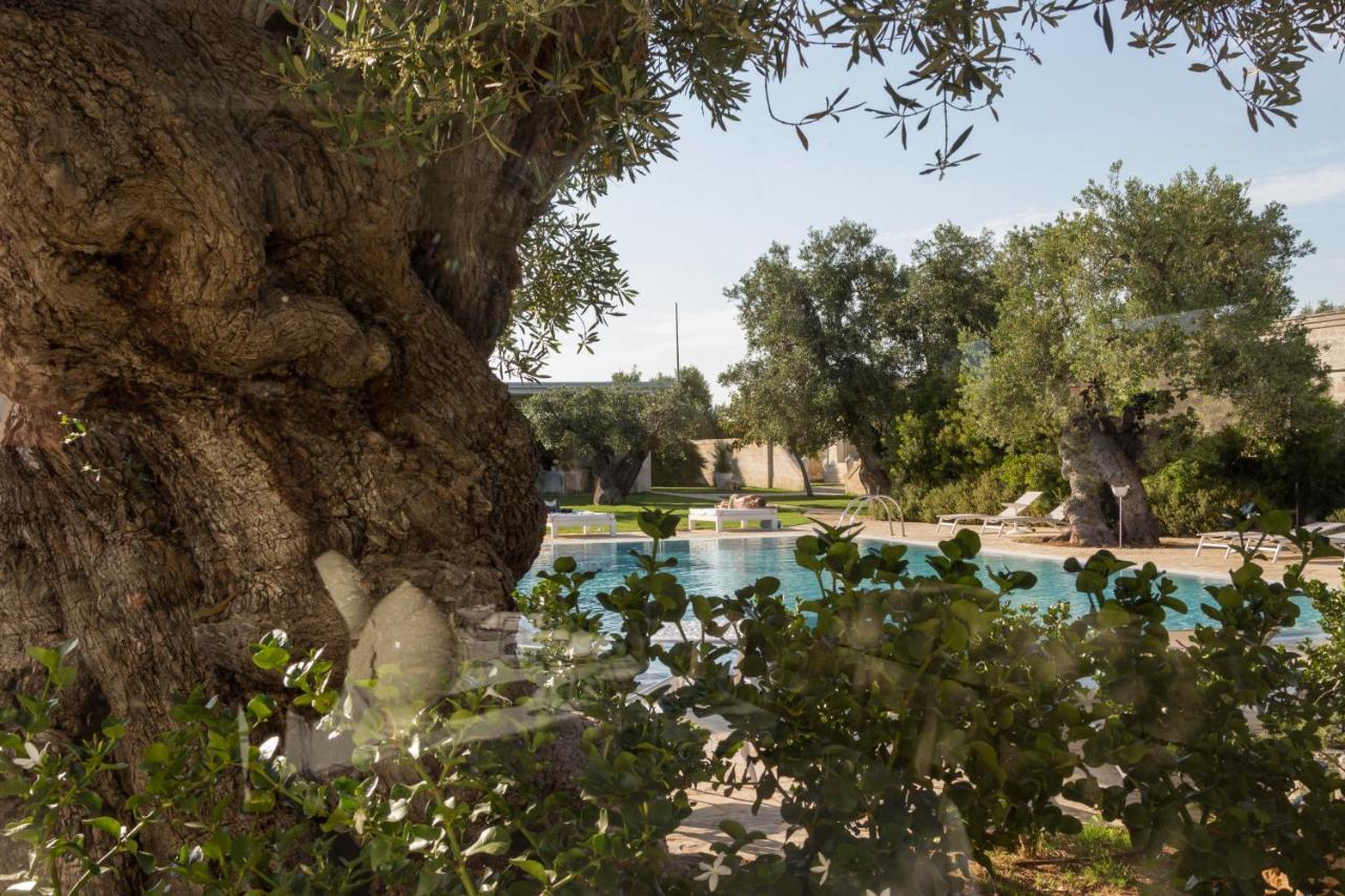 Masseria Torre Del Diamante トッレ・カンネ エクステリア 写真