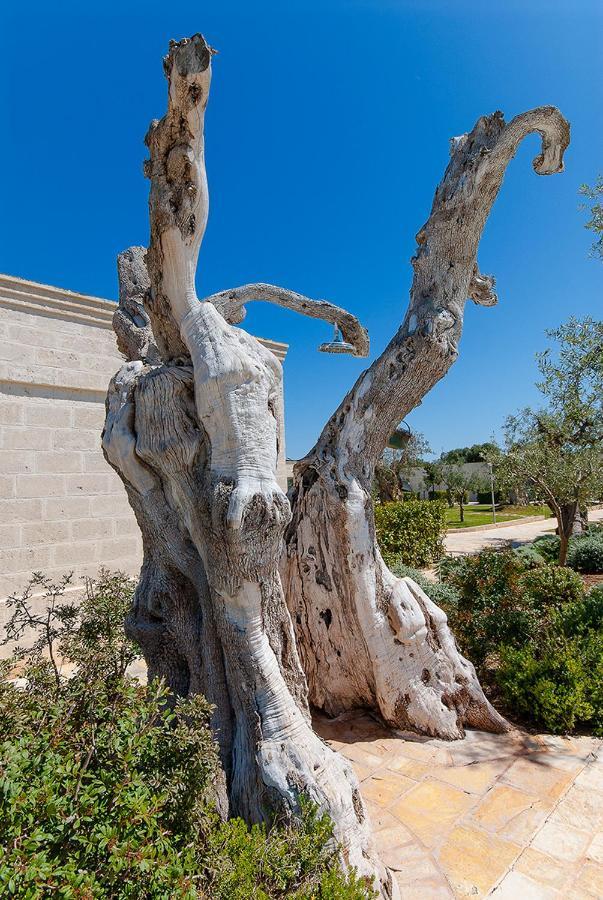 Masseria Torre Del Diamante トッレ・カンネ エクステリア 写真